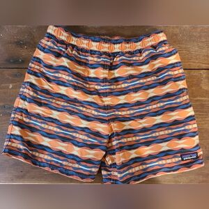 Patagonia Shorts